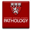 Harvard Medical School Department of Pathology