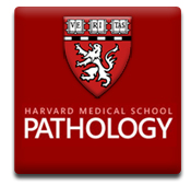 Harvard Medical School Department of Pathology