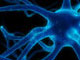 Hartford Web Design launches Pathology Lab websites for HMS