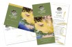 Salt Meadow Gallery - Post Card Designs